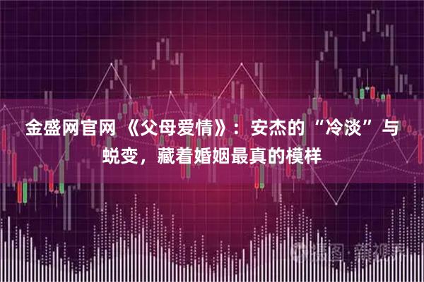 金盛网官网 《父母爱情》：安杰的 “冷淡” 与蜕变，藏着婚姻最真的模样