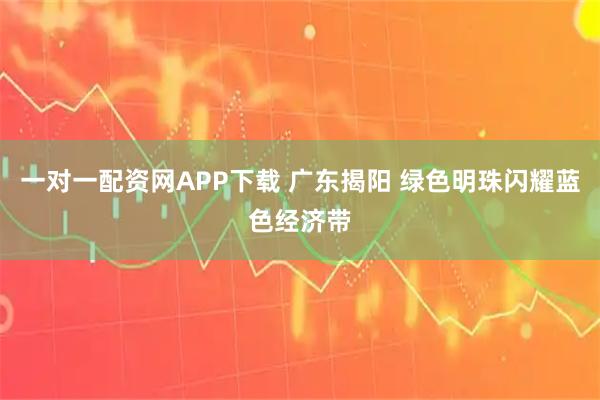 一对一配资网APP下载 广东揭阳 绿色明珠闪耀蓝色经济带
