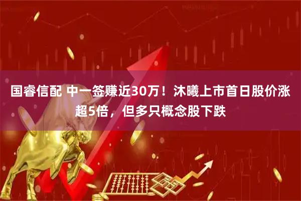 国睿信配 中一签赚近30万！沐曦上市首日股价涨超5倍，但多只概念股下跌